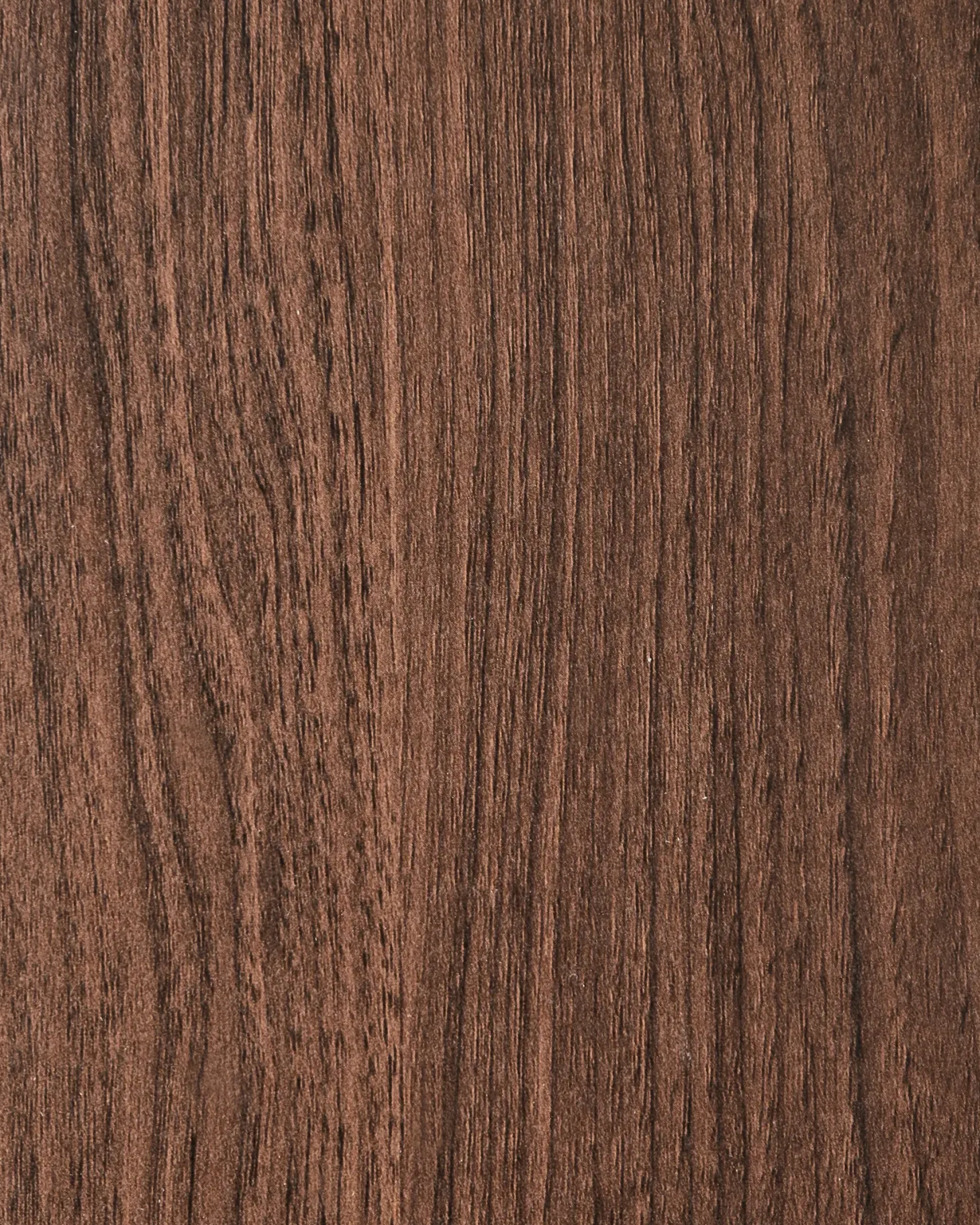 Bogreol med 5 hylder BRADLEY 180 cm Mørkebrun