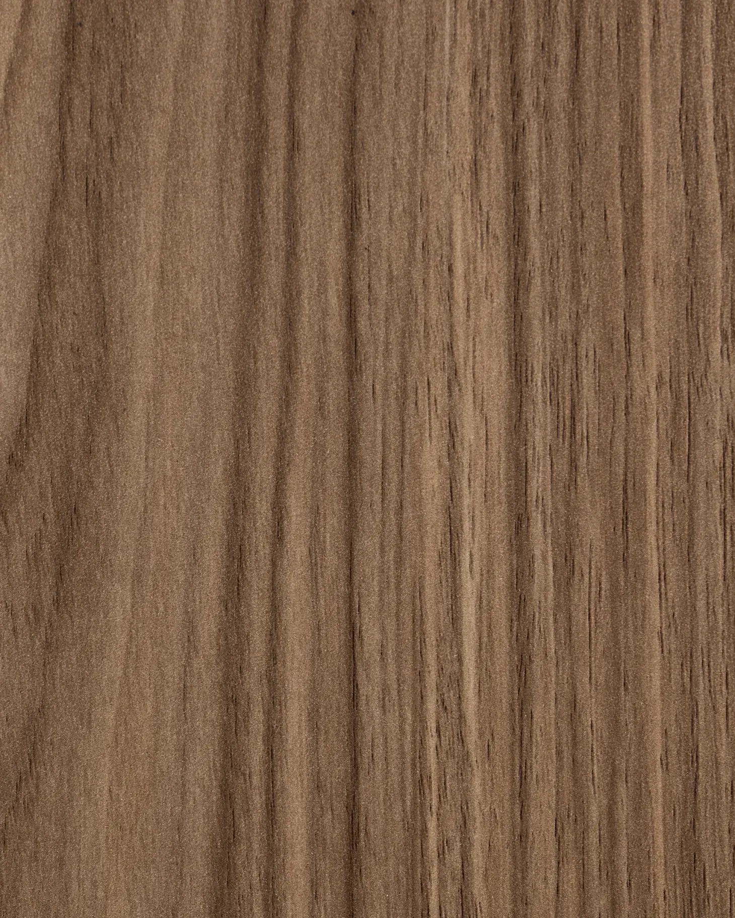 Bogreol med 6 hylder CHATEH 180 cm Brun