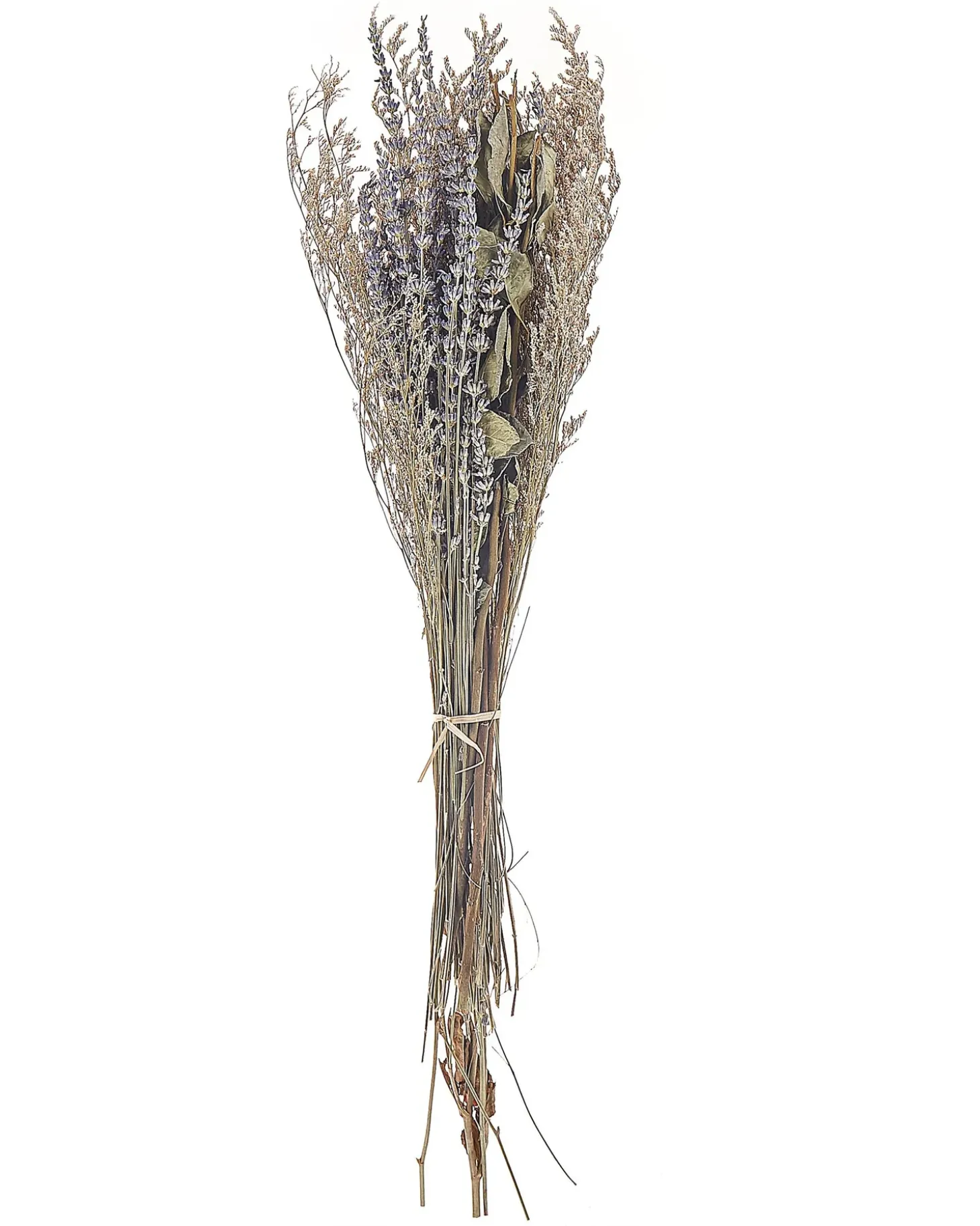 Buket af tørrede blomster NAWARRA 70 cm Naturlig