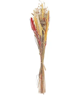 Buket af tørrede blomster PAMPELUNA 65 cm Naturlig
