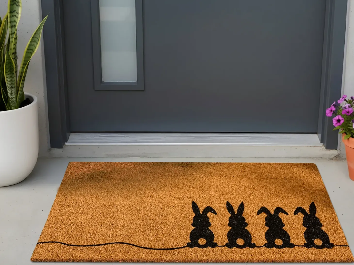 Dørmåtte PULIAN Naturlig 55 x 120 cm Kanin Kokos