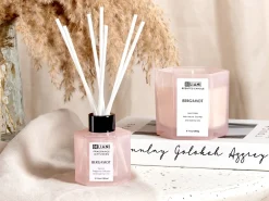 Duftlys med duftpinde CLASSY TINT Soja voks Frugtig noter