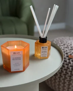 Duftlys med duftpinde CLASSY TINT Soja voks Fresh notes