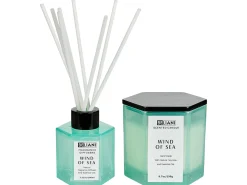 Duftlys med duftpinde CLASSY TINT Soja voks Fresh notes