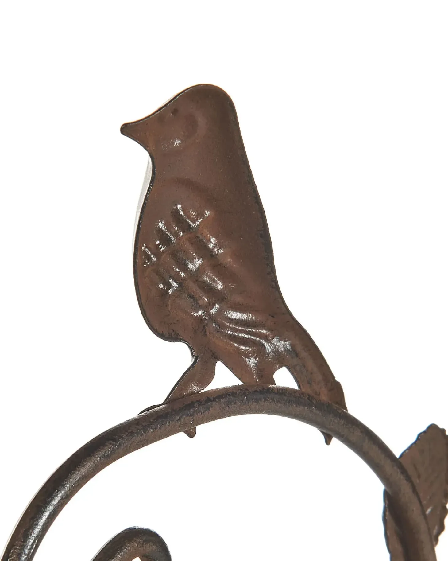 Fuglebad SPARROW Brun