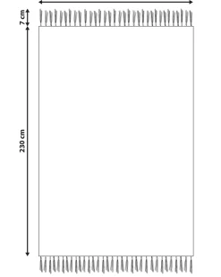 Gulvtæppe PARAKAR Multifarvet 160 x 230 cm Bomuld Kelim