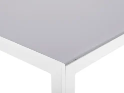 Havebord CATANIA 160 cm 91 cm Glas Grå