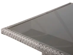 Havebord VITERBO 145 cm 80 cm Glas Lysegrå
