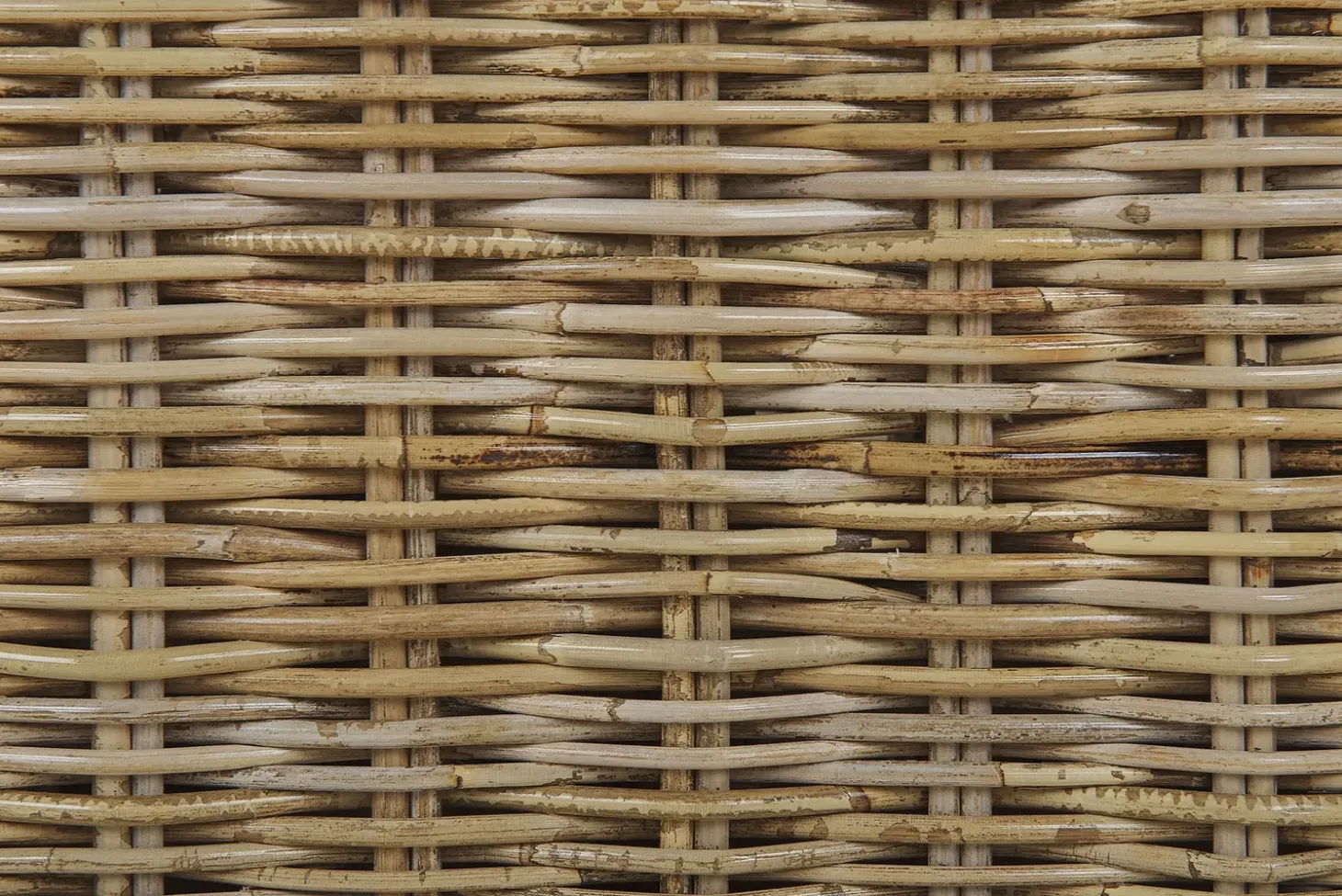 Havesofa 2 personers ARDEA Rattan Lysebrun