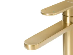 Håndvask vandhane COLHUE Messing Guld