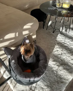 Hundepude KEPEZ Grå