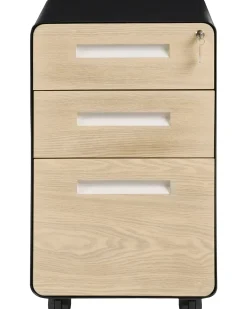 Kontorskab LARCO