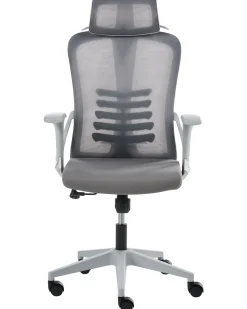 Kontorstol ERGONOX Grå