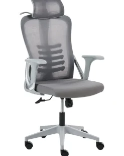 Kontorstol ERGONOX Grå
