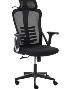 Kontorstol ERGONOX Sort