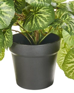 Kunstig hængeplante STRAWBERRY BEGONIA 37 cm Grøn