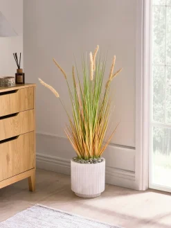 Kunstig plante BRISTLEGRASS 90 cm Grøn