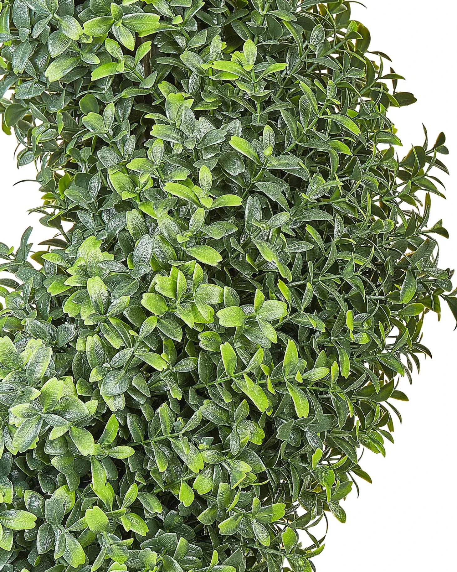 Kunstig plante BUXUS SPIRAL TREE 98 cm Grøn