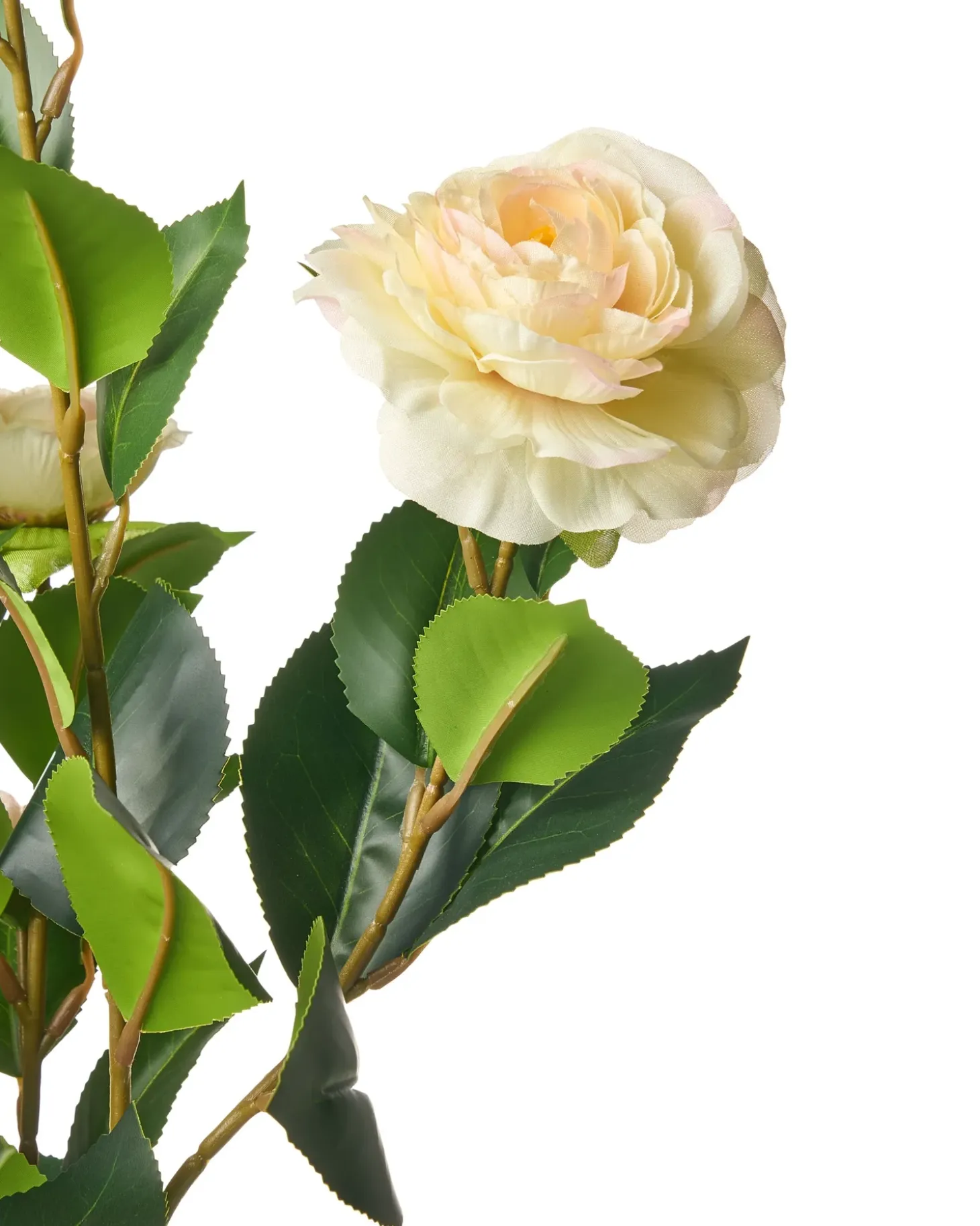 Kunstig plante CAMELLIA 60 cm Grøn