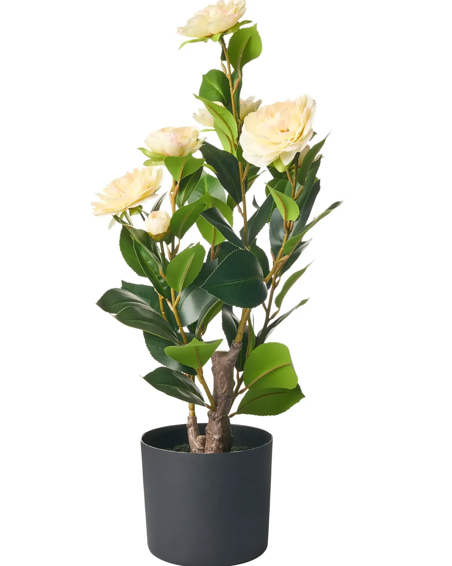 Kunstig plante CAMELLIA 60 cm Grøn