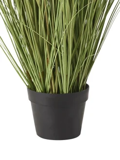 Kunstig plante CLAW FLOWER 150 cm Grøn