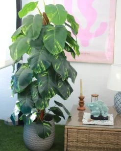 Kunstig plante DIEFFENBACHIA 152 cm Grøn