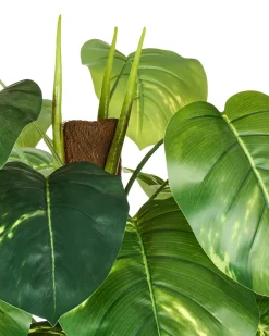 Kunstig plante DIEFFENBACHIA 152 cm Grøn