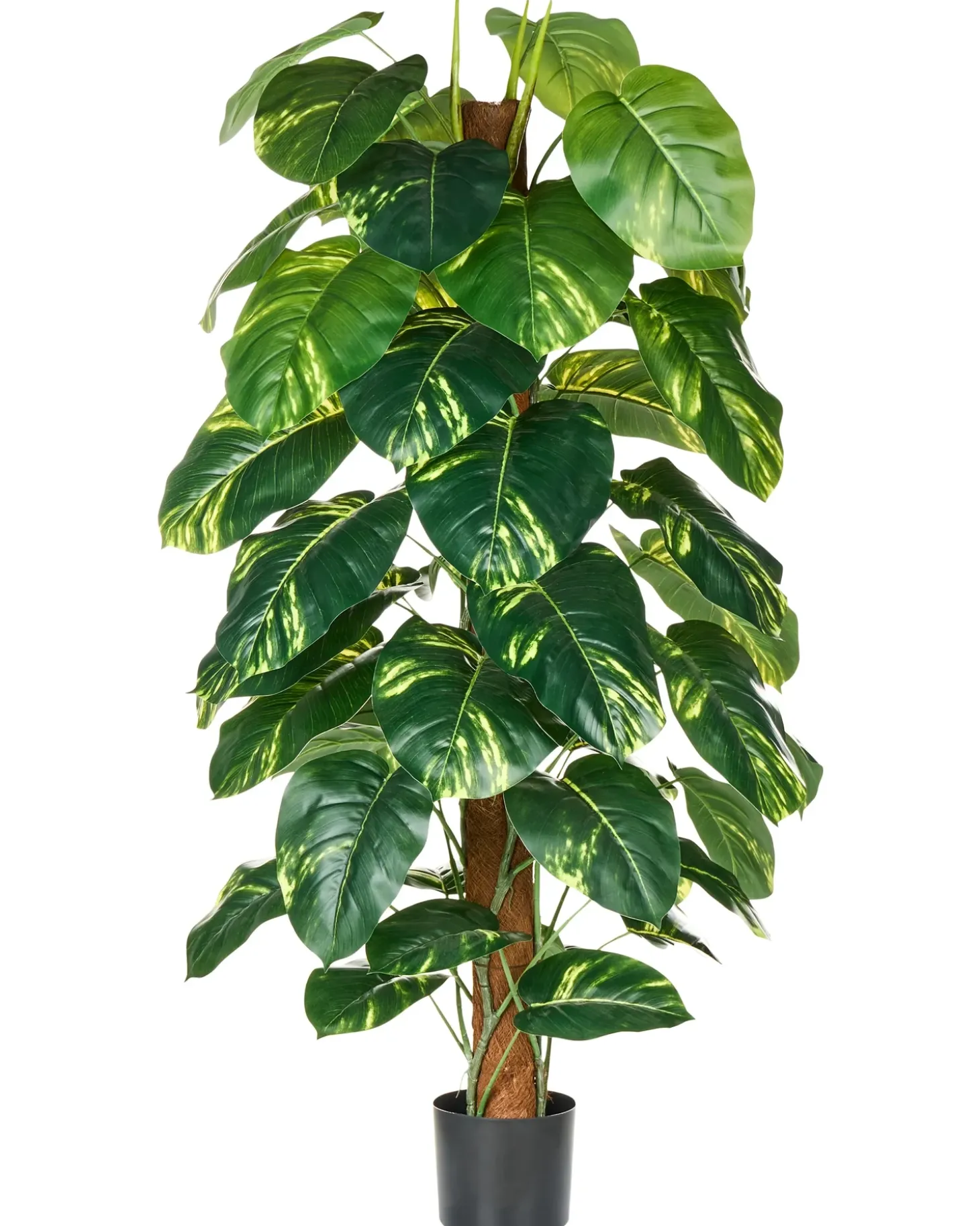 Kunstig plante DIEFFENBACHIA 152 cm Grøn