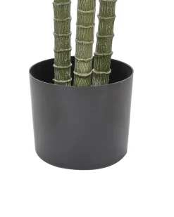 Kunstig plante DRACAENA ANITA 198 cm Grøn