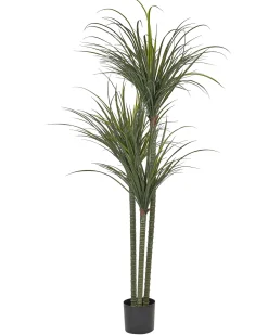 Kunstig plante DRACAENA ANITA 198 cm Grøn