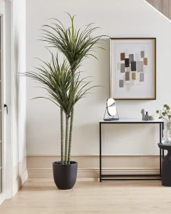 Kunstig plante DRACAENA ANITA 198 cm Grøn