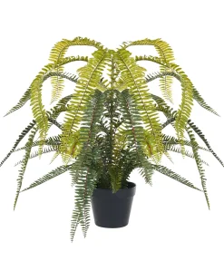 Kunstig plante FERN LEAF PLANT 105 cm Grøn