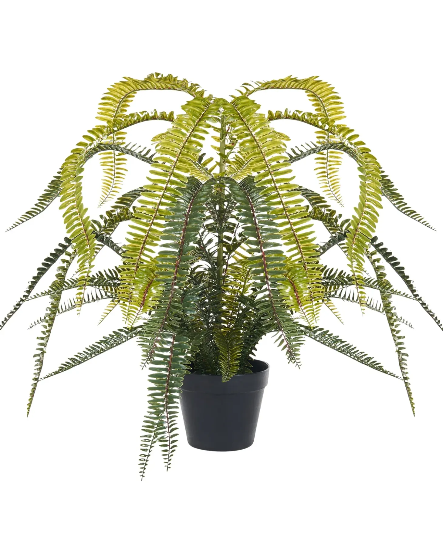 Kunstig plante FERN LEAF PLANT 105 cm Grøn