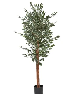 Kunstig plante FICUS 167 cm Grøn