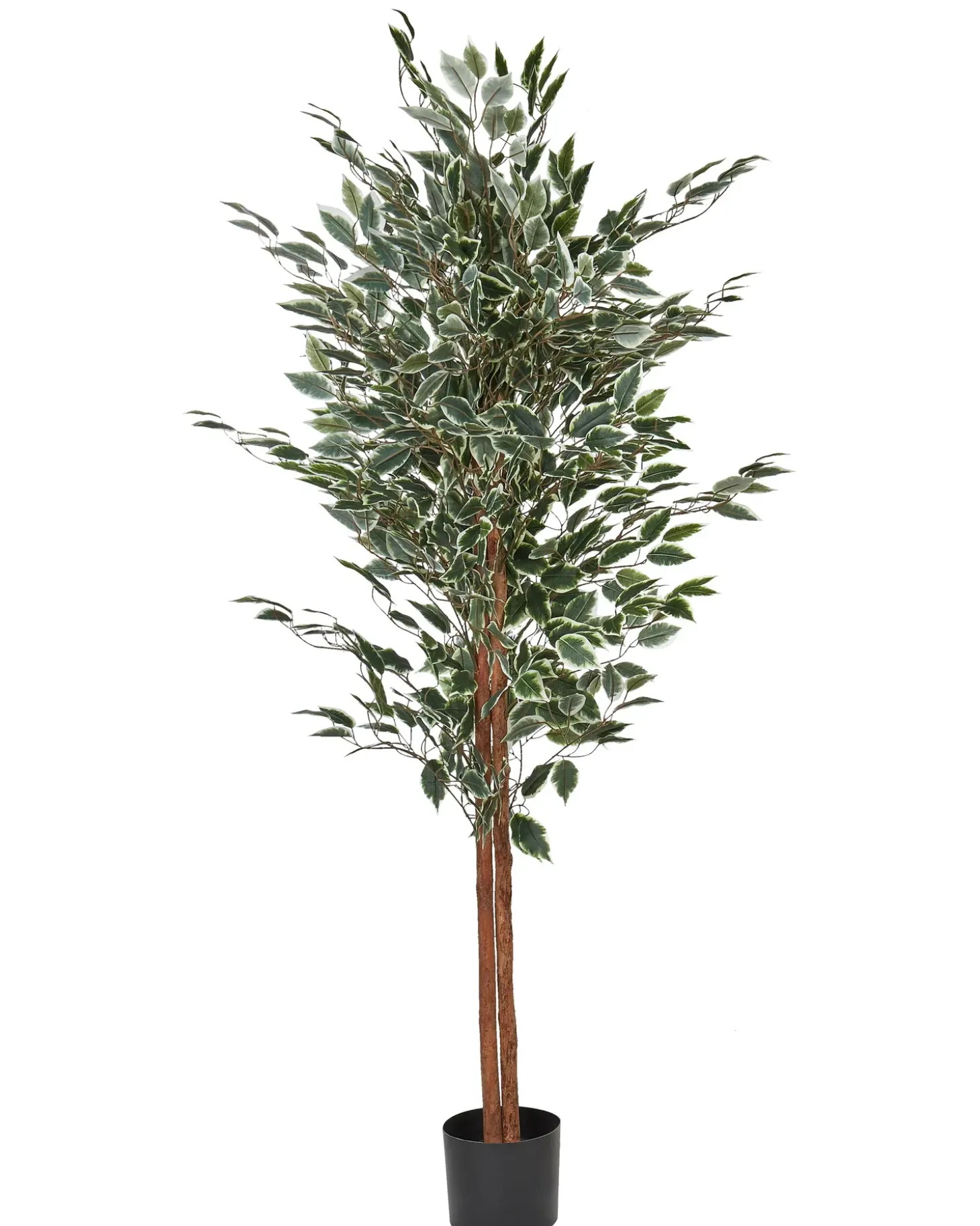 Kunstig plante FICUS 167 cm Grøn