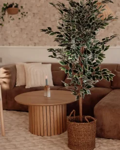 Kunstig plante FICUS 167 cm Grøn