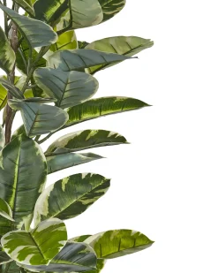 Kunstig plante FICUS ELASTICA 160 cm Grøn