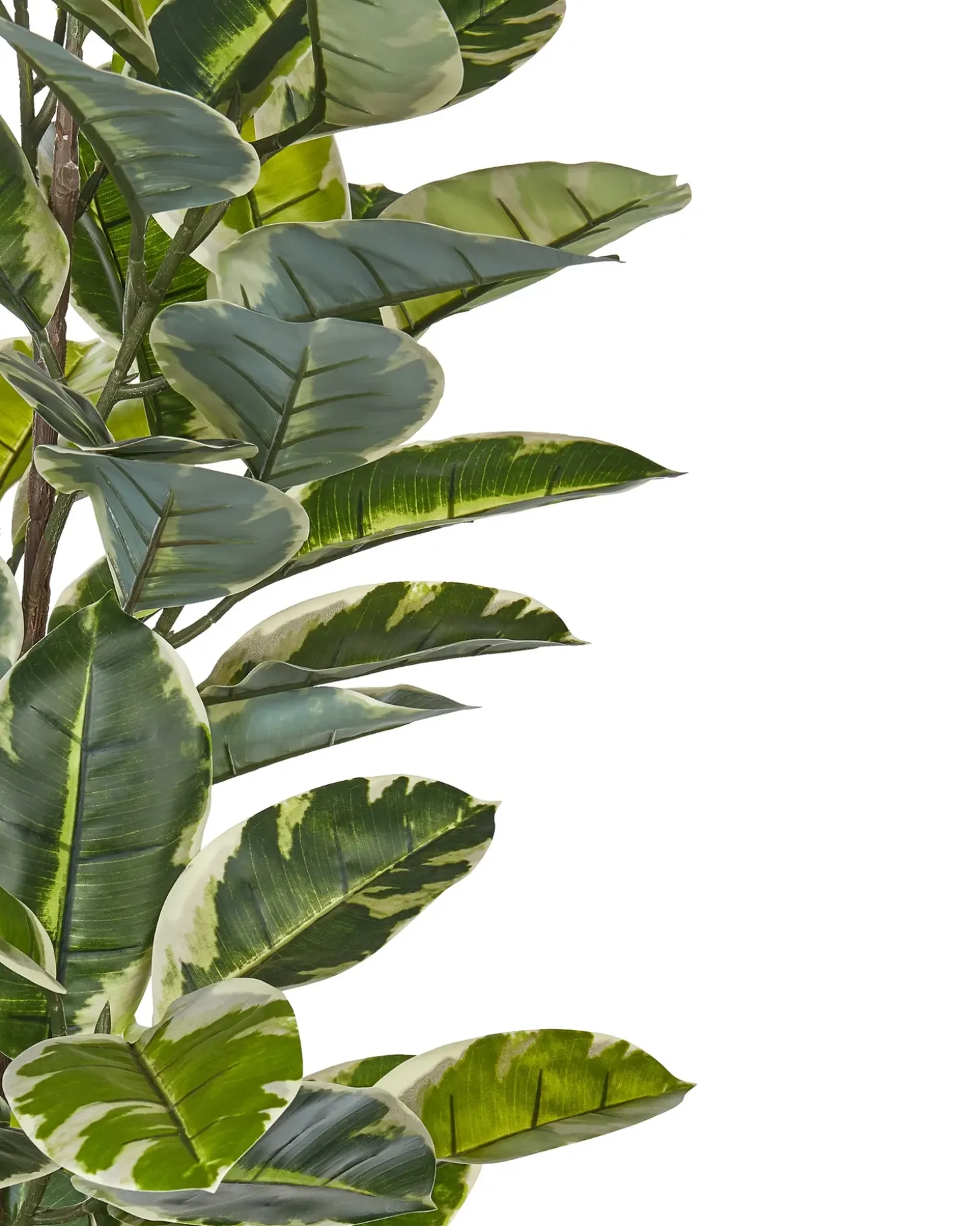 Kunstig plante FICUS ELASTICA 160 cm Grøn