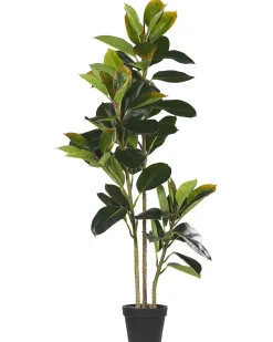 Kunstig plante FICUS ELASTICA 134 cm Grøn