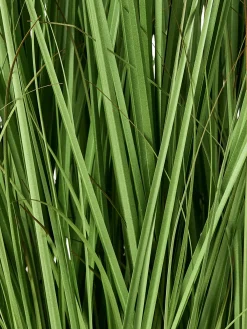 Kunstig plante GRASS 120 cm Grøn
