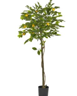 Kunstig plante LEMON TREE 156 cm Grøn