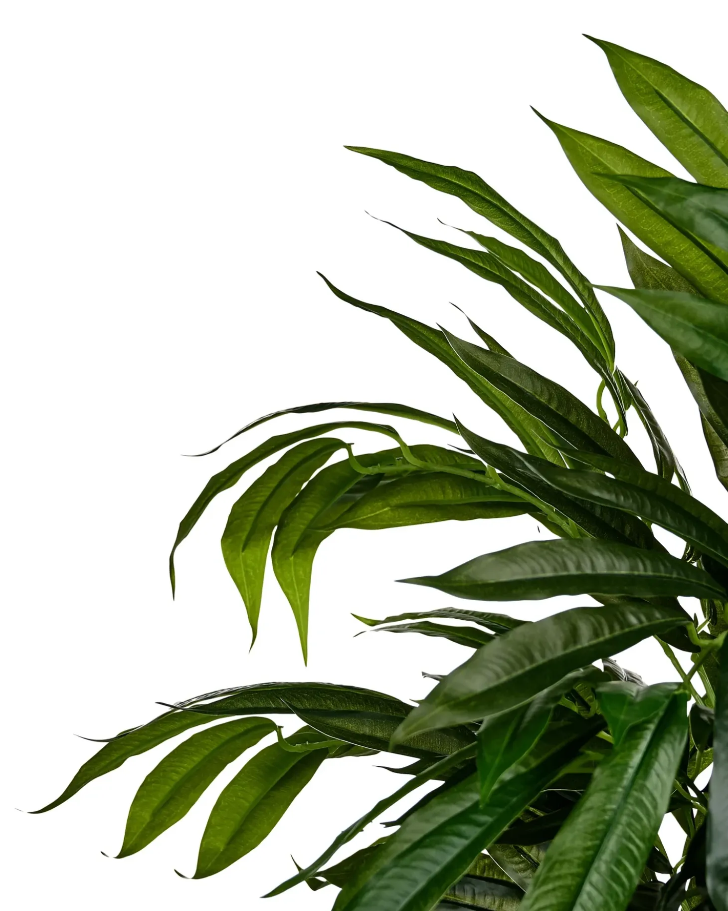 Kunstig plante LONGIFOLIA 155 cm Grøn