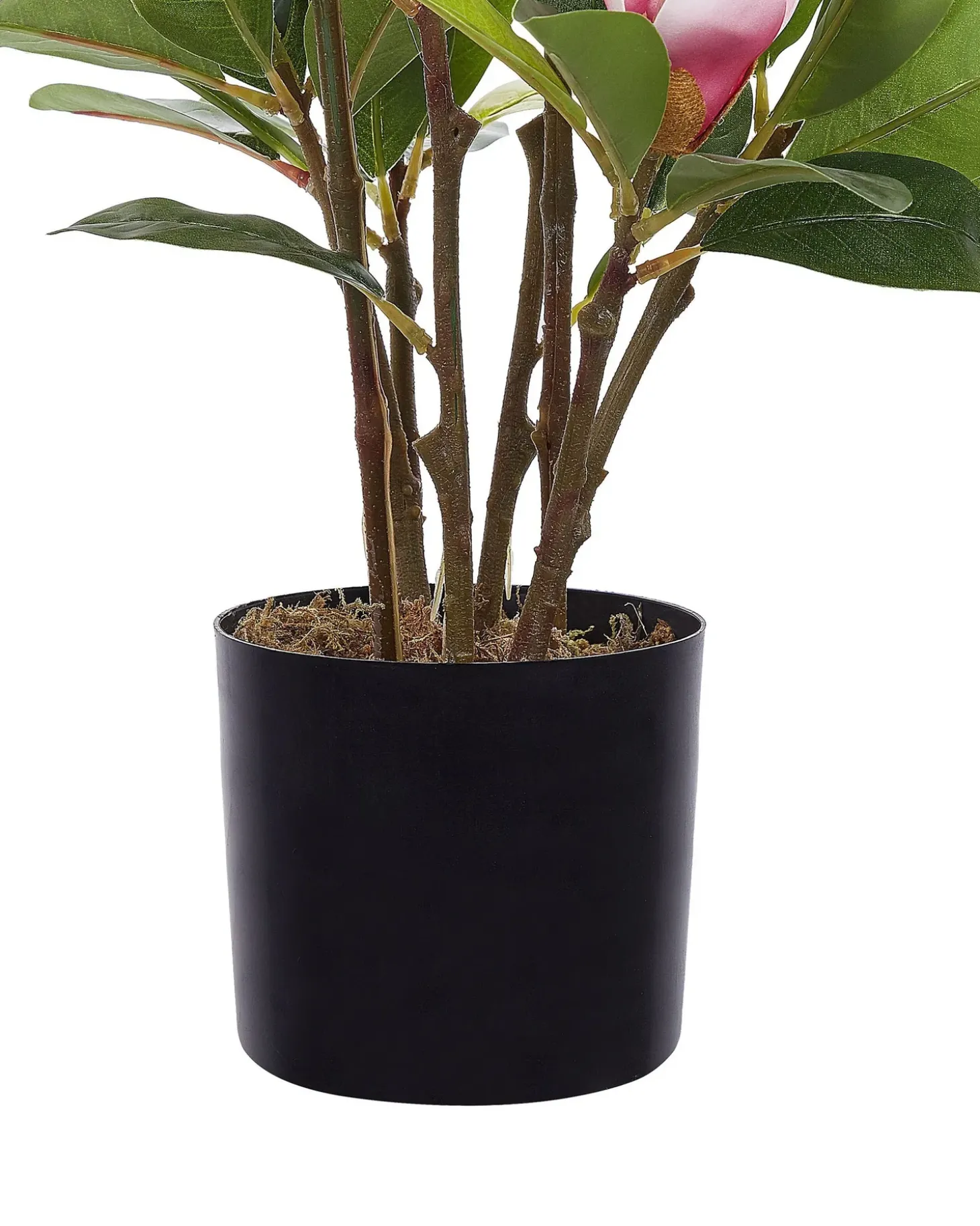 Kunstig plante MAGNOLIA 70 cm Grøn
