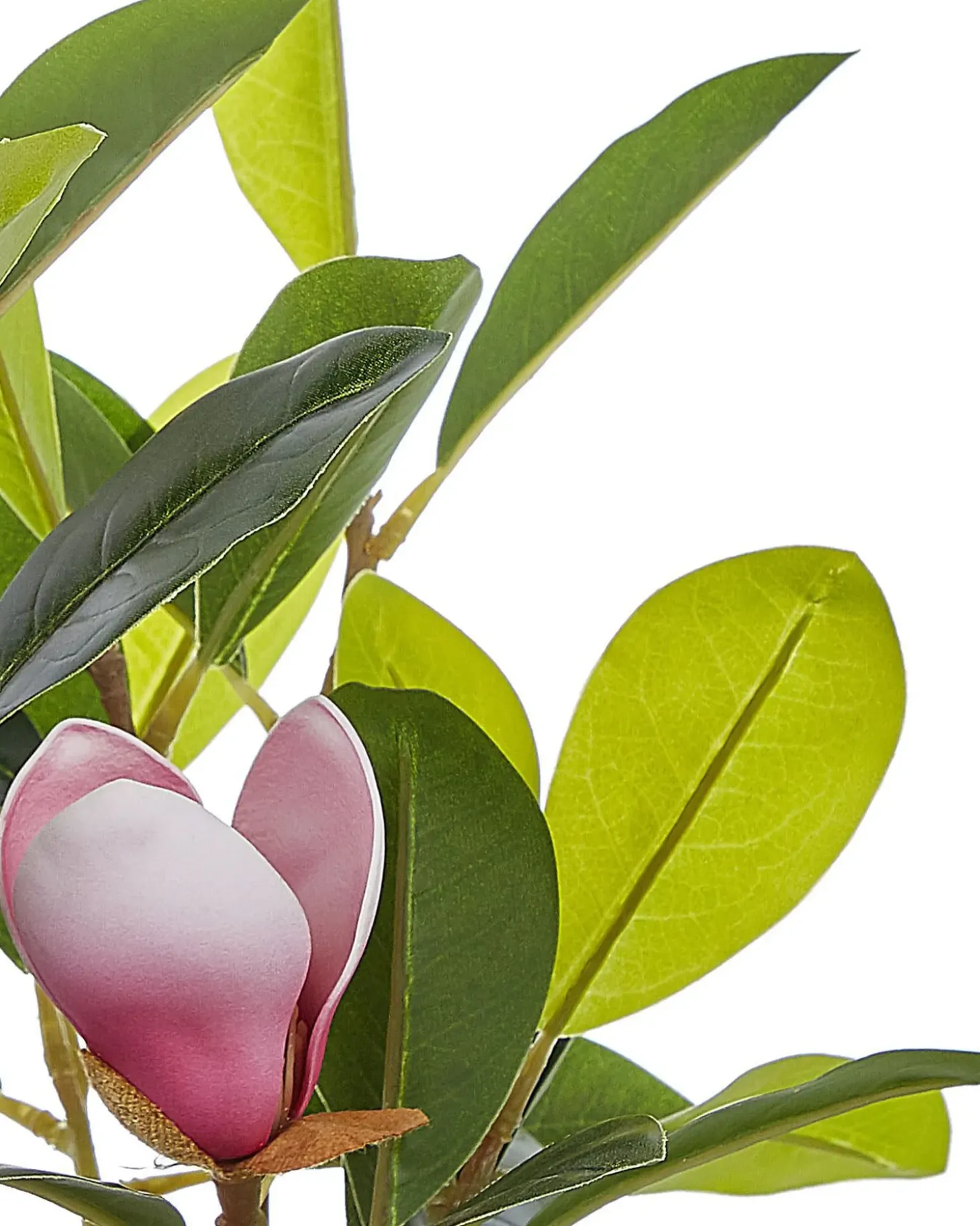 Kunstig plante MAGNOLIA 70 cm Grøn