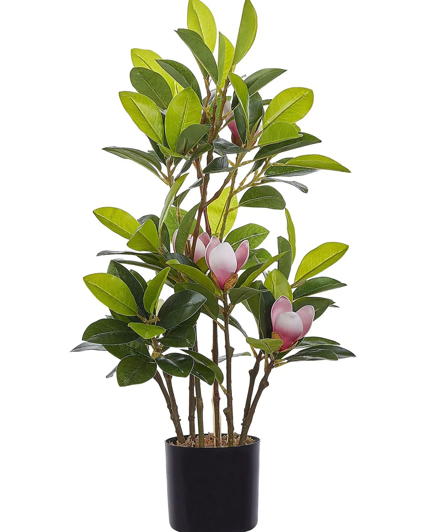 Kunstig plante MAGNOLIA 70 cm Grøn