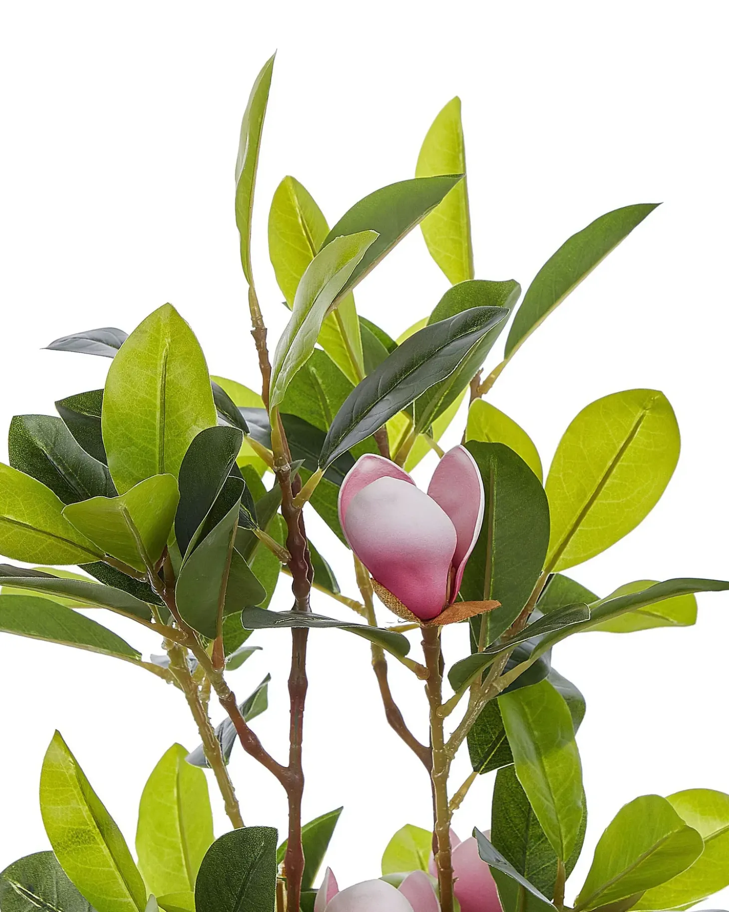 Kunstig plante MAGNOLIA 70 cm Grøn