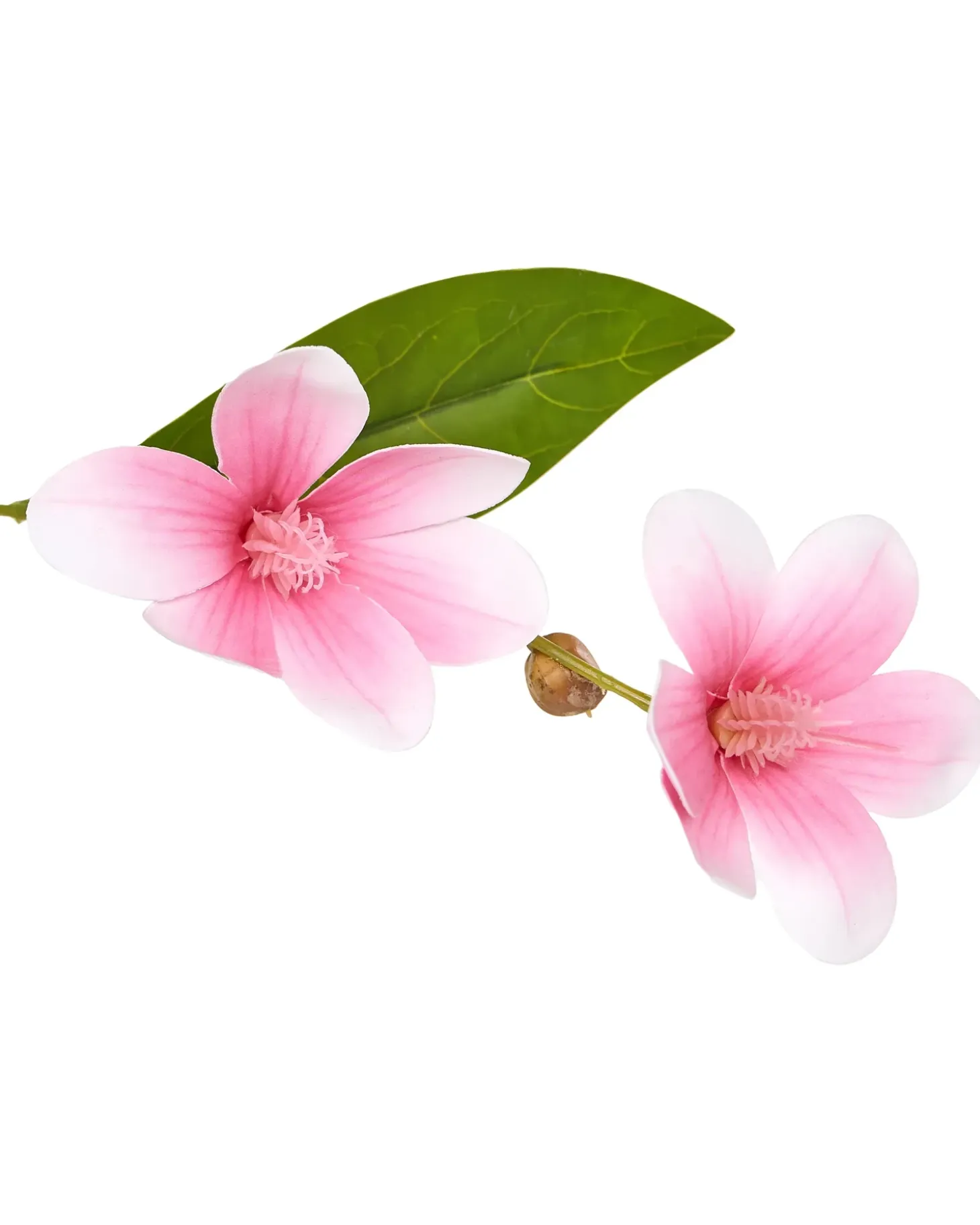 Kunstig plante MAGNOLIA TREE 128 cm Grøn
