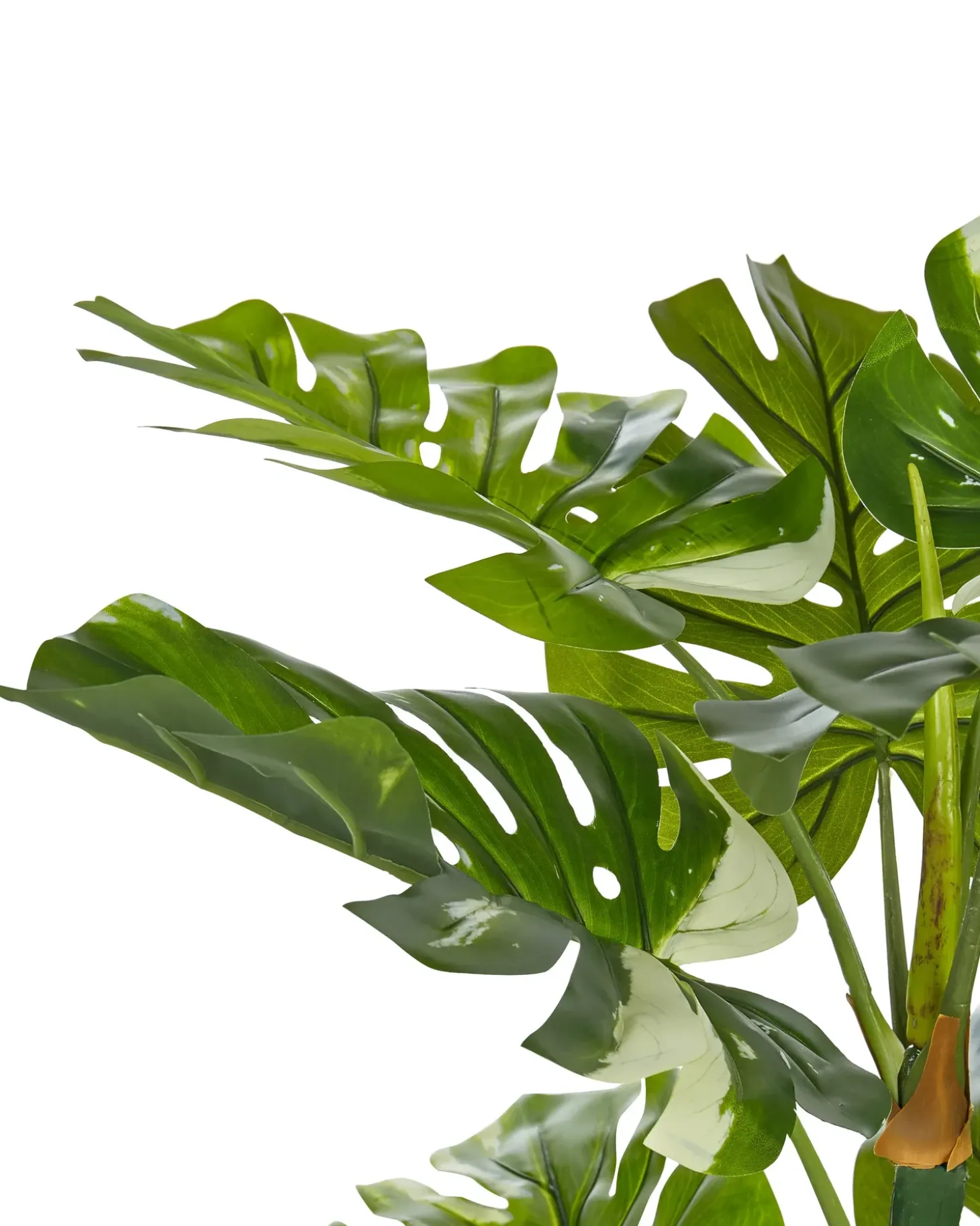 Kunstig plante MONSTERA PLANT 135 cm Grøn