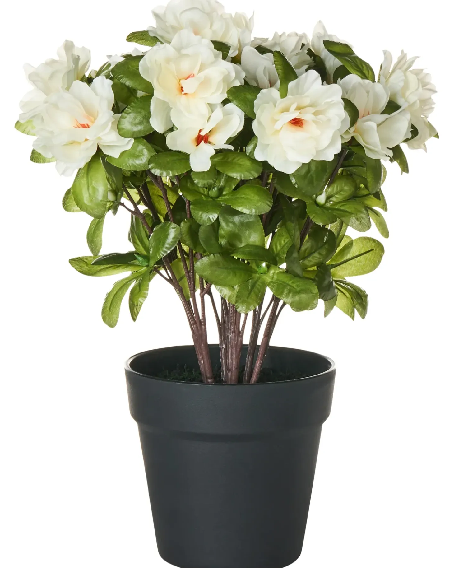 Kunstig plante NOVELLA 36 cm Hvid
