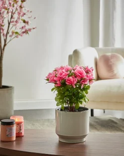 Kunstig plante NOVELLA 36 cm Lyserød